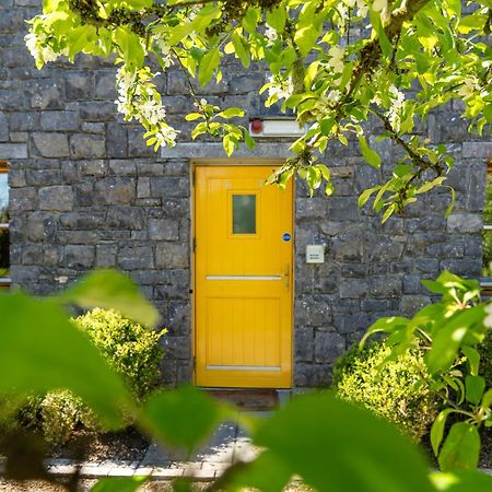 Burren Court Lodge Ballyvaughan Eksteriør billede