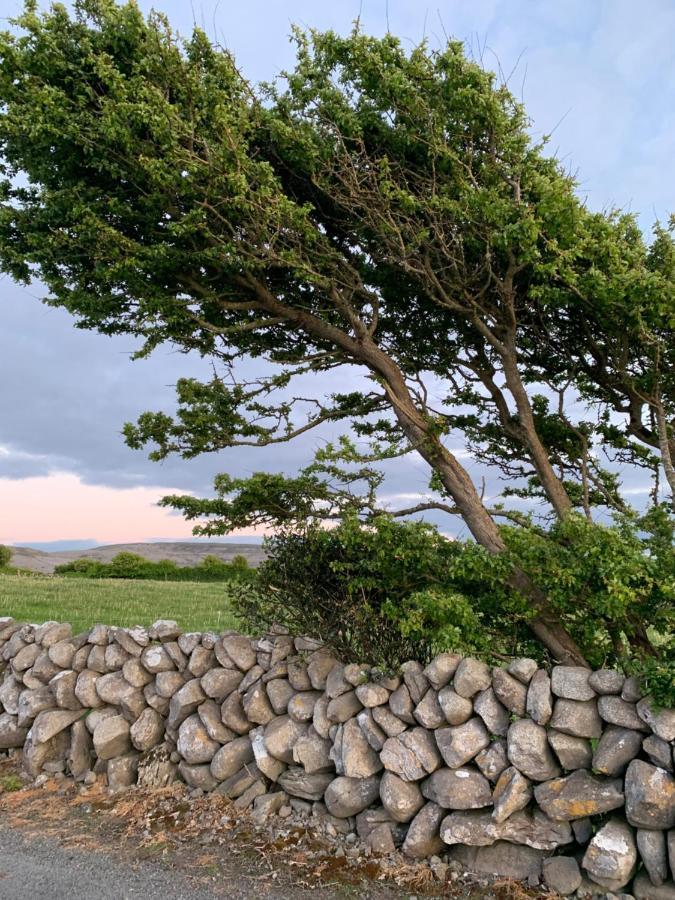 Burren Court Lodge Ballyvaughan Eksteriør billede