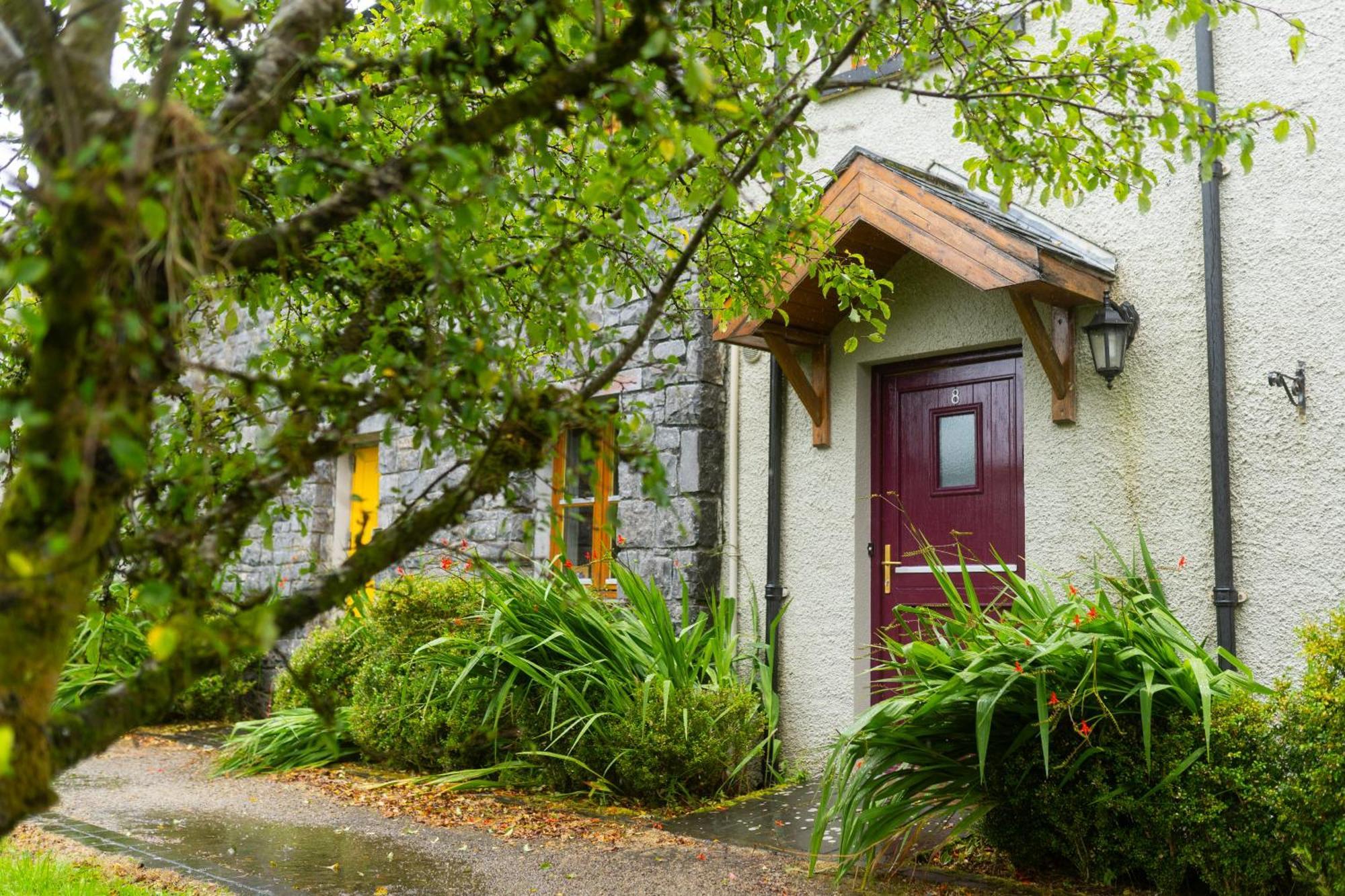 Burren Court Lodge Ballyvaughan Eksteriør billede